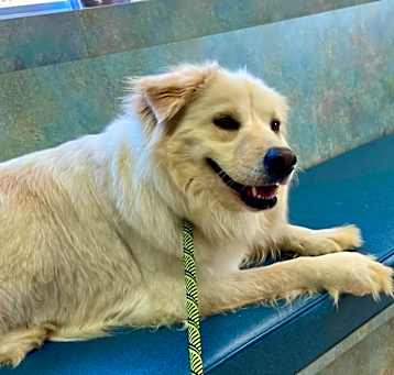 Photo of Slinky
