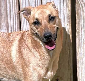 Photo of Skye