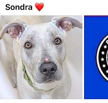 Photo of SONDRA