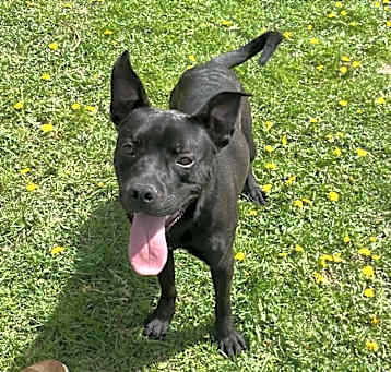 Photo of Sonar