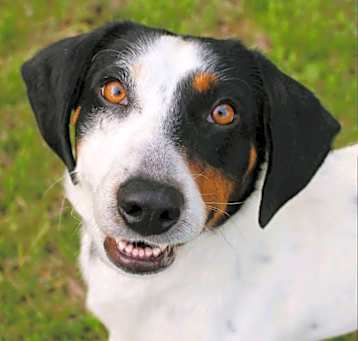 Photo of Tucker