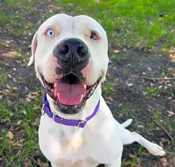 Photo of Sally