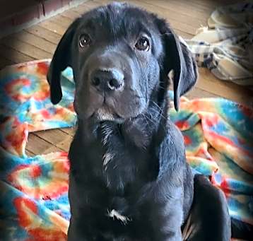 Photo of Navi