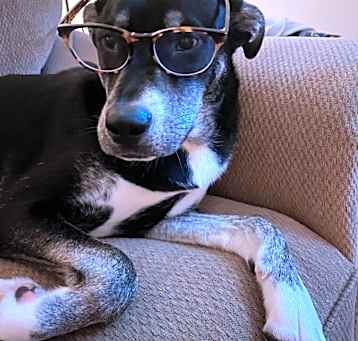 Photo of Sadie