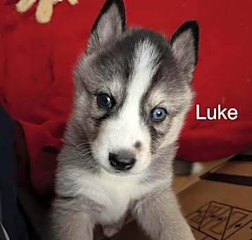 Photo of Luke