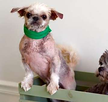 Photo of Yo Yo and Squirt