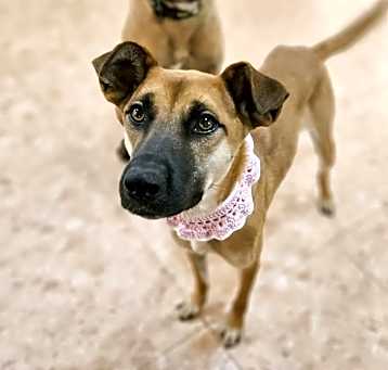 Photo of Jenny