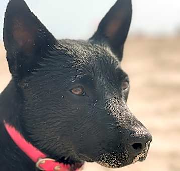 Photo of Wanda