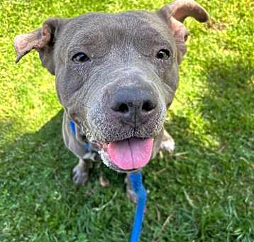 Photo of Gray Girl