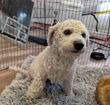 Photo of Mr Cloud