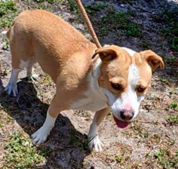 Photo of APOLLO