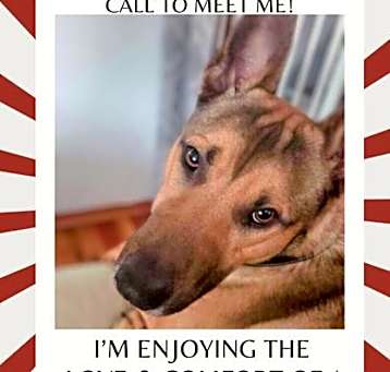 Photo of Taz