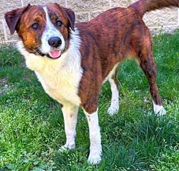 Photo of Remmy