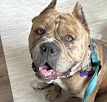 Photo of Gloria