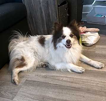 Photo of Twix