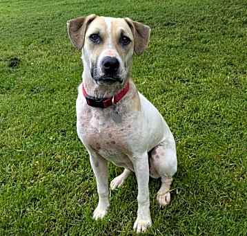 Photo of Otis