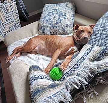 Photo of Stella @ Foster