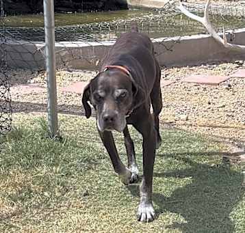 Photo of Mack