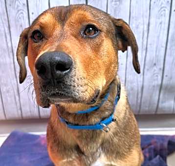 Photo of Cubby