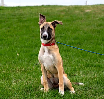 Photo of Cassie