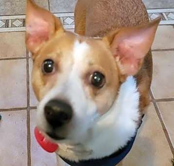 Photo of Tobi