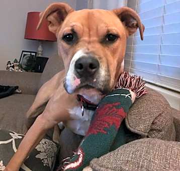Photo of Ivy
