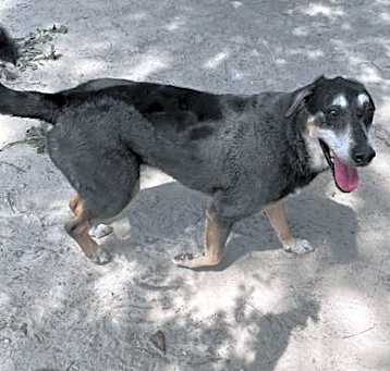 Photo of Winston