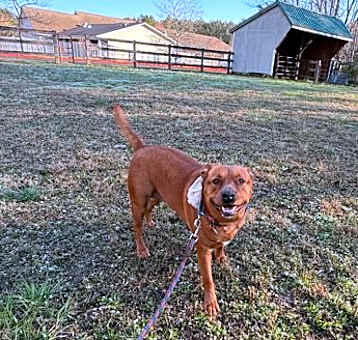 Photo of Myrtle