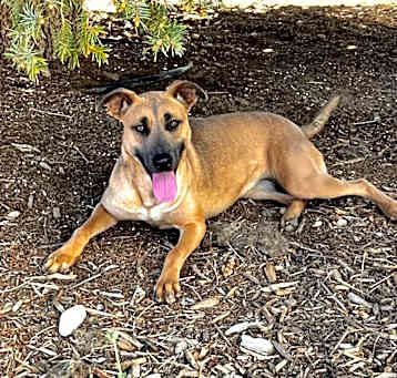 Photo of Athena