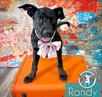 Photo of Randy