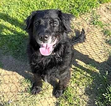 Photo of Max