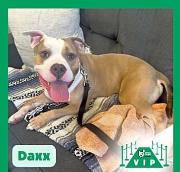 Photo of Daxx