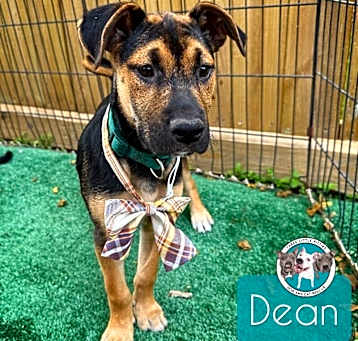 Photo of Dean
