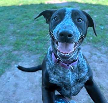Photo of Mayberry