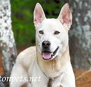 Photo of Bolt #18887