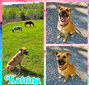 Photo of Katrina