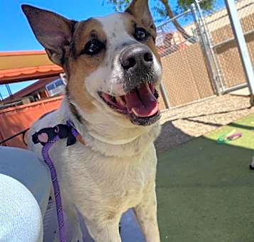 Photo of TRACKER