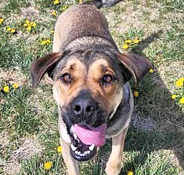 Photo of Maggie Mae