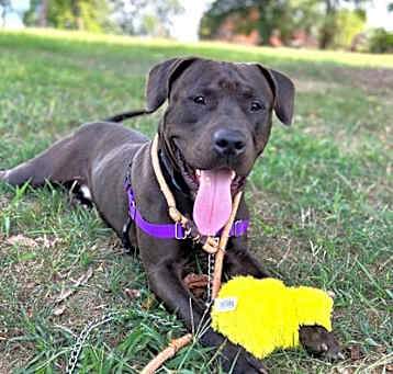 Photo of Delaney