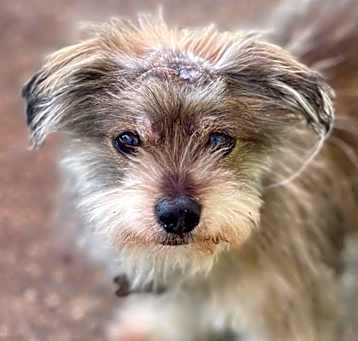 Photo of Winston