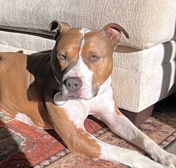 Photo of Blue