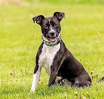 Photo of Keisha 