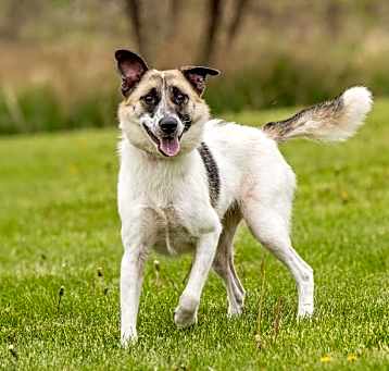 Photo of Keely