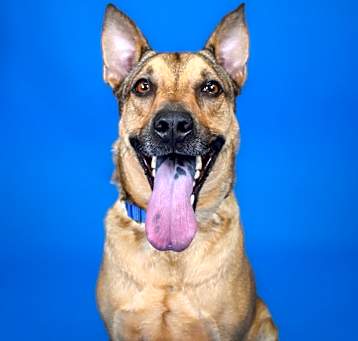 Photo of Monty