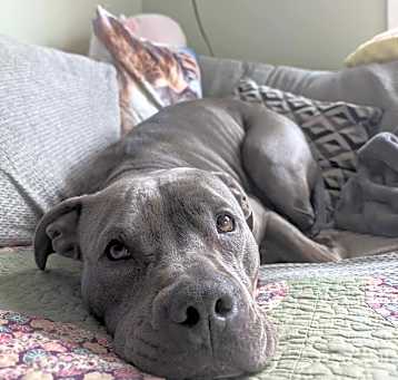 Photo of Queenie