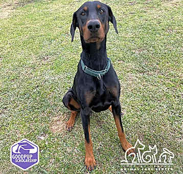 Photo of BACI