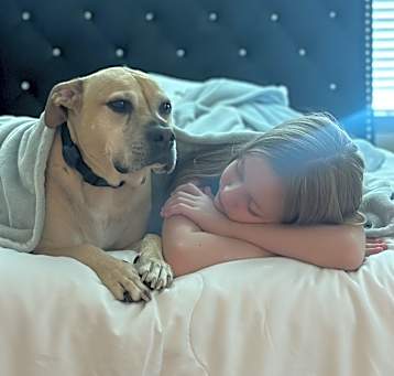 Photo of Emmy and Lulu (raised together)