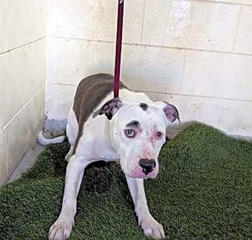 Photo of TILLY