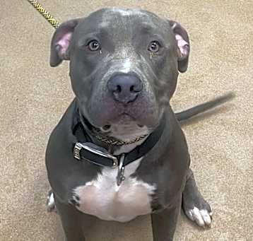 Photo of Tug