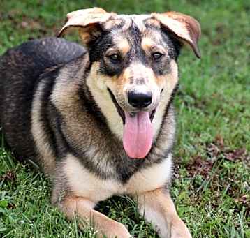 Photo of PERLA